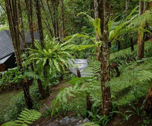 Villa Cliffside Bamboo Treehouse With Heated Pool And View *